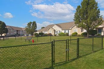 On-site dog run with agility equipment